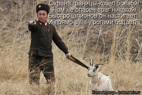 Охрана границы-козел боевой! Нам не опасен враг никакой! Быстро шпионов он настигает! И прямо в п...у... Котоматрица: Охрана границы-козел боевой! Нам не опасен враг никакой! Быстро шпионов он настигает! И прямо в п...у рогами бодает!