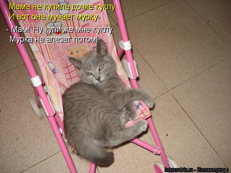 Мама не купила дочке куклу И вот она мучает мурку - Мам! Ну купи же мне куклу, Мурка не влезет потом!... Котоматрица: Мама не купила дочке куклу И вот она мучает мурку - Мам! Ну купи же мне куклу, Мурка не влезет потом!