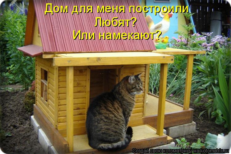 Дом для меня построили Любят? Или намекают?... Котоматрица: Дом для меня построили Любят? Или намекают?