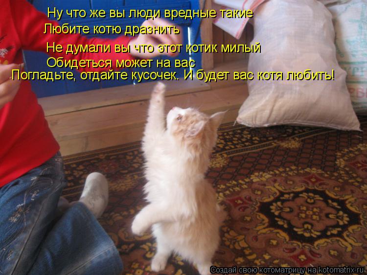 Ну что же вы люди вредные такие Любите котю дразнить Не думали вы что этот котик милый Обидеться може... Котоматрица: Ну что же вы люди вредные такие Любите котю дразнить Не думали вы что этот котик милый Обидеться может на вас Погладьте, отдайте кусочек. И б