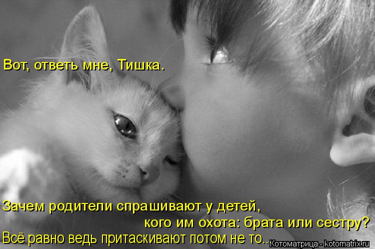 Зачем родители спрашивают у детей, кого им охота: брата или сестру? Всё равно ведь притаскивают потом... Котоматрица: Зачем родители спрашивают у детей, кого им охота: брата или сестру? Всё равно ведь притаскивают потом не то... Вот, ответь мне, Тишка.