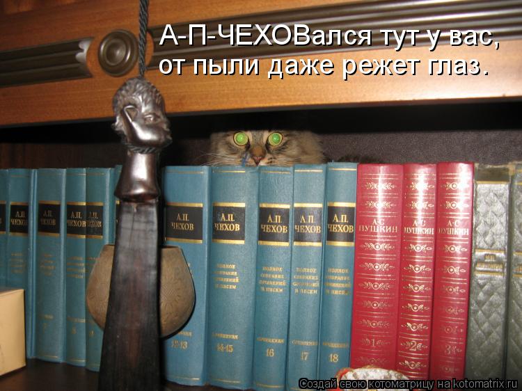 А-П-ЧЕХОВался тут у вас, от пыли даже режет глаз.... Котоматрица: А-П-ЧЕХОВался тут у вас, от пыли даже режет глаз.