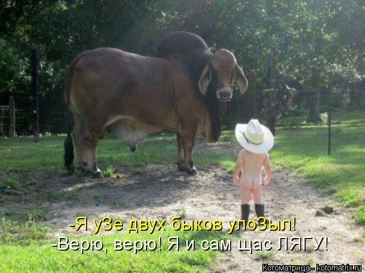 Котоматрица: -Я уЗе двух быков улоЗыл! -Верю, верю! Я и сам щас ЛЯГУ!