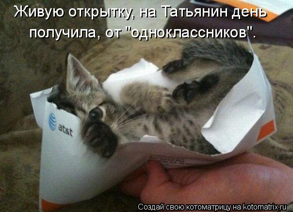 Живую открытку, на Татьянин день получила, от "одноклассников".... Котоматрица: Живую открытку, на Татьянин день получила, от "одноклассников".