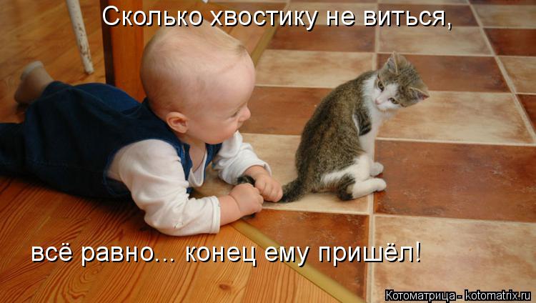 Сколько хвостику не виться, всё равно... конец ему пришёл!... Котоматрица: Сколько хвостику не виться, всё равно... конец ему пришёл!