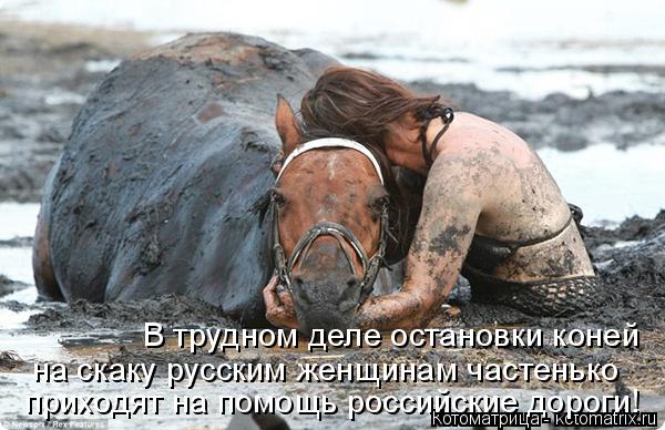В трудном деле остановки коней на скаку русским женщинам частенько приходят на помощь российские до... Котоматрица: В трудном деле остановки коней на скаку русским женщинам частенько приходят на помощь российские дороги!