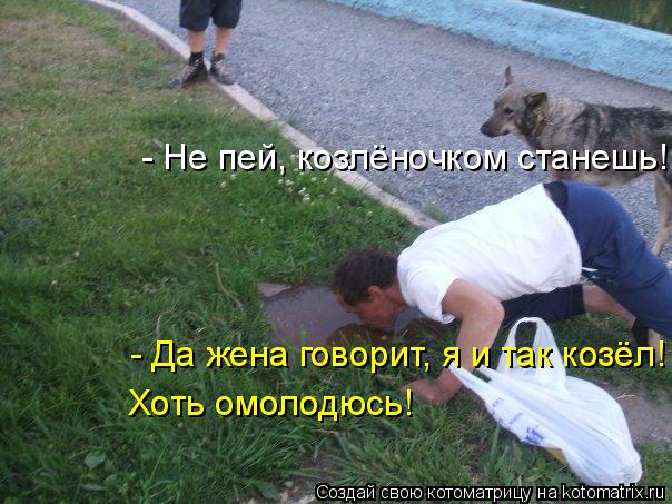 Котоматрица: - Не пей, козлёночком станешь! - Да жена говорит, я и так козёл! Хоть омолодюсь!