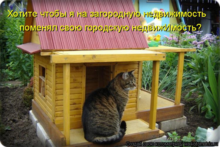 Котоматрица: поменял свою городскую недвижИмость? Хотите чтобы я на загородную недвижимость