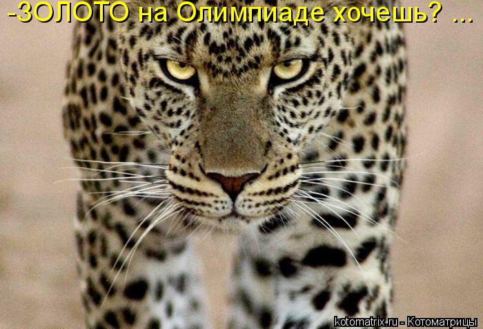 Котоматрица: -ЗОЛОТО на Олимпиаде хочешь? ...