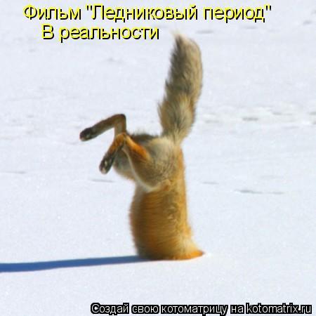 Фильм "Ледниковый период" В реальности... Котоматрица: Фильм "Ледниковый период" В реальности