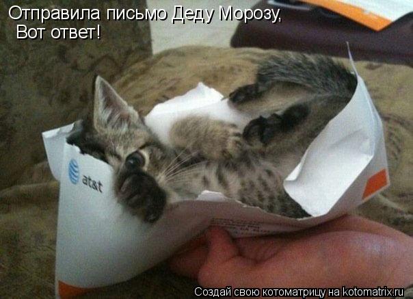 Котоматрица: Отправила письмо Деду Морозу, Вот ответ!