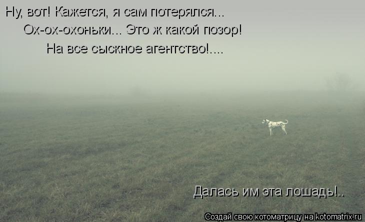 Котоматрица: Далась им эта лошадь!.. Ну, вот! Кажется, я сам потерялся... Ох-ох-охоньки... Это ж какой позор!  На все сыскное агентство!....