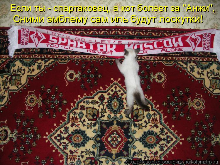 Если ты - спартаковец, а кот болеет за "Анжи", Сними эмблему сам иль будут лоскутки!... Котоматрица: Если ты - спартаковец, а кот болеет за "Анжи", Сними эмблему сам иль будут лоскутки!