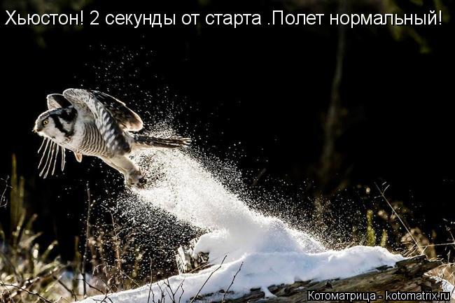 Хьюстон! 2 секунды от старта .Полет нормальный!... Котоматрица: Хьюстон! 2 секунды от старта .Полет нормальный!