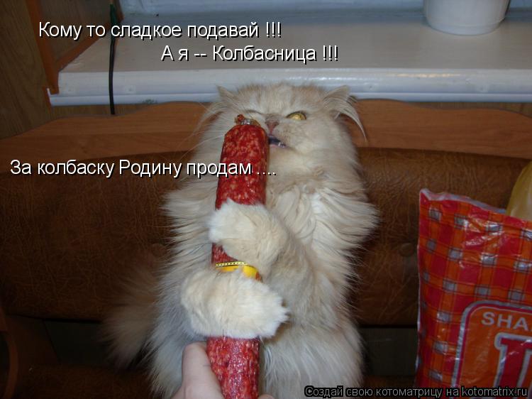 Кому то сладкое подавай !!! А я -- Колбасница !!! За колбаску Родину продам ....... Котоматрица: Кому то сладкое подавай !!! А я -- Колбасница !!! За колбаску Родину продам ....