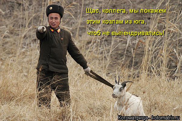 Щас, коллега, мы покажем этим козлам из юга, чтоб не выпендривались!... Котоматрица: Щас, коллега, мы покажем этим козлам из юга, чтоб не выпендривались!