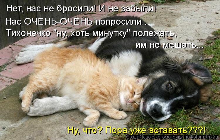 Нет, нас не бросили! И не забыли! Нас ОЧЕНЬ-ОЧЕНЬ попросили... Тихонечко "ну, хоть минутку" полежать,... Котоматрица: Нет, нас не бросили! И не забыли! Нас ОЧЕНЬ-ОЧЕНЬ попросили... Тихонечко "ну, хоть минутку" полежать, им не мешать... Ну, что? Пора уже вставать???!
