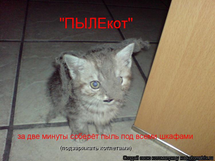 "ПЫЛЕкот" за две минуты соберёт пыль под всеми шкафами (подзаряжать котлетами)... Котоматрица: "ПЫЛЕкот" за две минуты соберёт пыль под всеми шкафами (подзаряжать котлетами)
