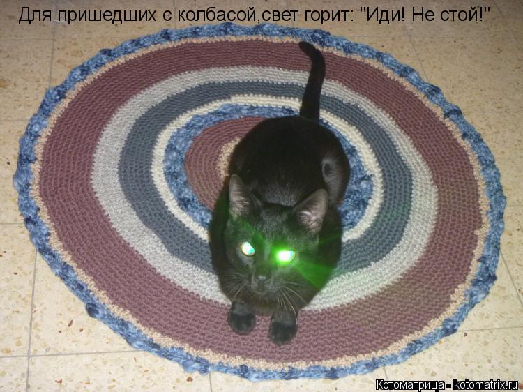 Котоматрица: Для пришедших с колбасой Для пришедших с колбасой,свет горит: "Иди! Не стой!"