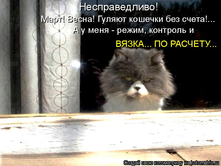 Котоматрица: Несправедливо! Март! Весна! Гуляют кошечки без счета!... А у меня - режим, контроль и  ВЯЗКА... ПО РАСЧЕТУ...