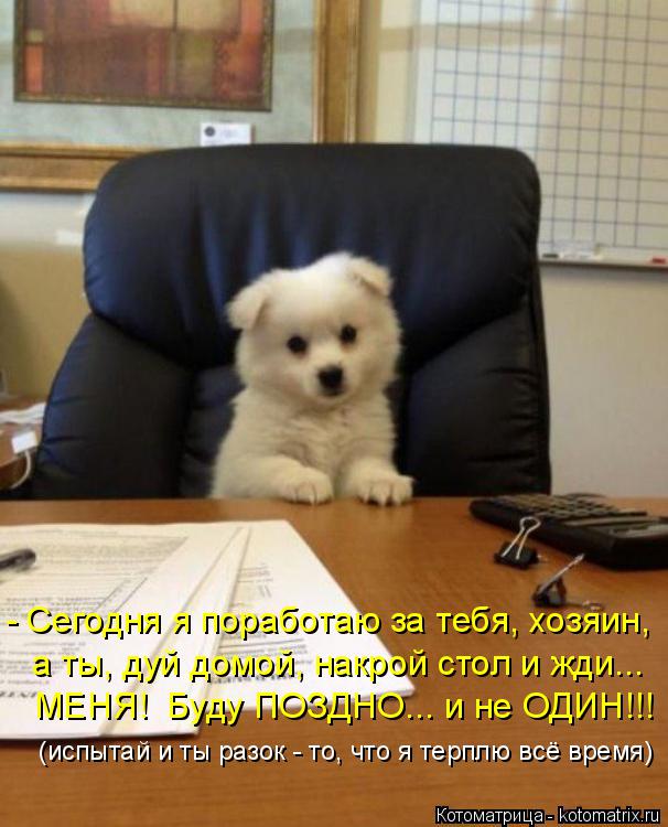 Котоматрица: - Сегодня я поработаю за тебя, хозяин, а ты, дуй домой, накрой стол и жди...  МЕНЯ!  Буду ПОЗДНО... и не ОДИН!!! (испытай и ты разок - то, что я терплю 