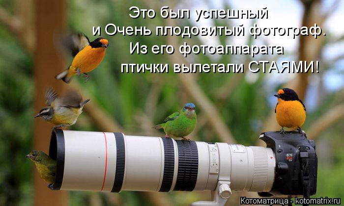 Котоматрица: Это был успешный и Очень плодовитый фотограф. Из его фотоаппарата птички вылетали СТАЯМИ!