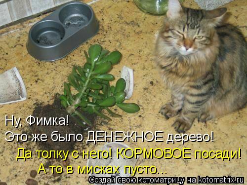 Котоматрица: Ну, Фимка!  Это же было ДЕНЕЖНОЕ дерево! Да толку с него! КОРМОВОЕ посади! А то в мисках пусто...