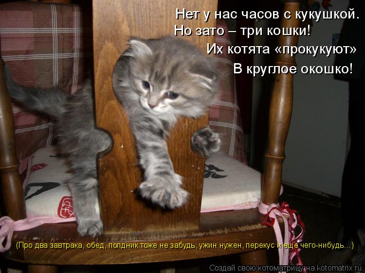 Котоматрица: Нет у нас часов с кукушкой. Но зато – три кошки! Их котята «прокукуют» В круглое окошко! (Про два завтрака, обед, полдник тоже не забудь, ужин 