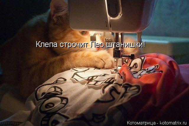 Клепа строчит Лео штанишки!... Котоматрица: Клепа строчит Лео штанишки!