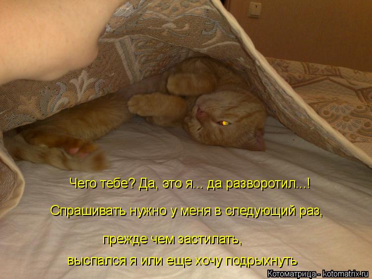Котоматрица: Чего тебе? Да, это я... да разворотил...!  Спрашивать нужно у меня в следующий раз,  прежде чем застилать,  выспался я или еще хочу подрыхнуть