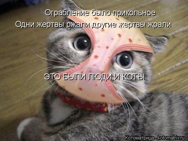 Ограбление было прикольное Одни жертвы ржали другие жертвы жрали ЭТО БЫЛИ ЛЮДИ И КОТЫ... Котоматрица: Ограбление было прикольное Одни жертвы ржали другие жертвы жрали ЭТО БЫЛИ ЛЮДИ И КОТЫ
