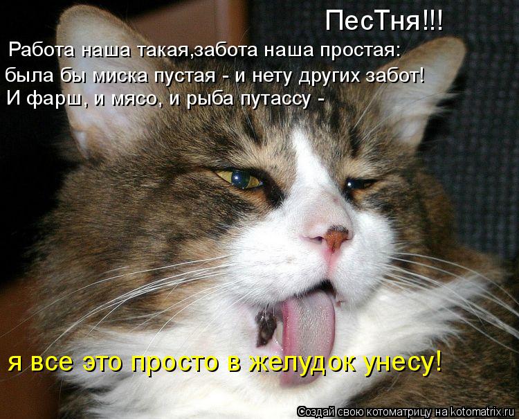 ПесТня!!! Работа наша такая,забота наша простая: И фарш, и мясо, и рыба путассу - я все это просто в... Котоматрица: ПесТня!!! Работа наша такая,забота наша простая: И фарш, и мясо, и рыба путассу - я все это просто в желудок унесу! была бы миска пустая - и нету