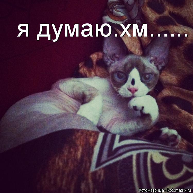 я думаю.хм......... Котоматрица: я думаю.хм......
