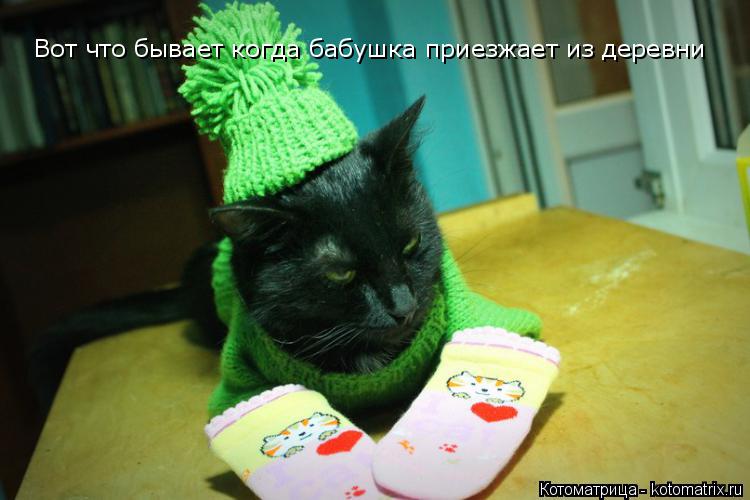 Вот что бывает когда бабушка приезжает из деревни... Котоматрица: Вот что бывает когда бабушка приезжает из деревни