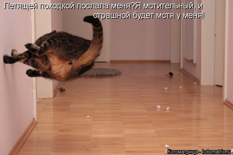 Котоматрица: страшной будет мстя у меня! Летящей походкой послала меня?Я мстительный, и