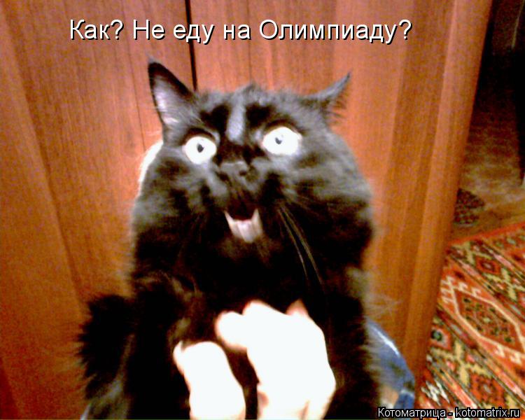 Котоматрица: Как? Не еду на Олимпиаду?