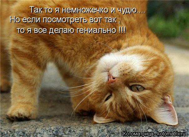 Так то я немножечко и чудю.... Но если посмотреть вот так , то я все делаю гениально !!!... Котоматрица: Так то я немножечко и чудю.... Но если посмотреть вот так , то я все делаю гениально !!!
