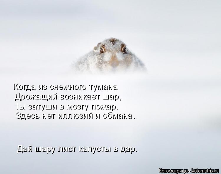 Когда из снежного тумана Дрожащий возникает шар, Ты затуши в мозгу пожар. Здесь нет иллюзий и обмана.... Котоматрица: Когда из снежного тумана Дрожащий возникает шар, Ты затуши в мозгу пожар. Здесь нет иллюзий и обмана. Дай шару лист капусты в дар.