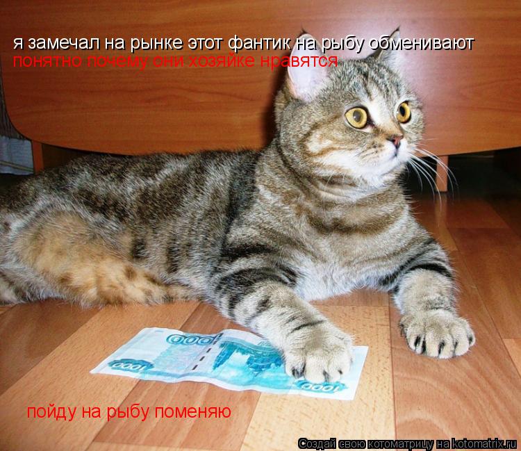 Котоматрица: я замечал на рынке этот фантик на рыбу обменивают понятно почему они хозяйке нравятся пойду на рыбу поменяю
