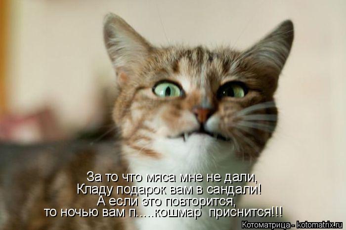 За то что мяса мне не дали, Кладу подарок вам в сандали! А если это повторится, то ночью вам п.....ко... Котоматрица: За то что мяса мне не дали, Кладу подарок вам в сандали! А если это повторится, то ночью вам п.....кошмар приснится!!!