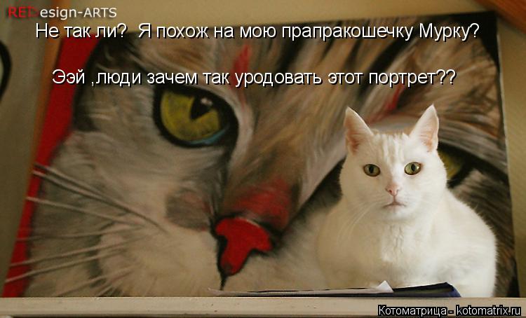 Не так ли? Я похож на мою прапракошечку Мурку? Ээй ,люди зачем так уродовать этот портрет??... Котоматрица: Не так ли? Я похож на мою прапракошечку Мурку? Ээй ,люди зачем так уродовать этот портрет??