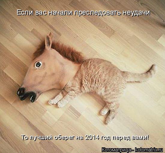 Котоматрица: Если вас начали преследовать неудачи То лучший оберег на 2014 год перед вами!