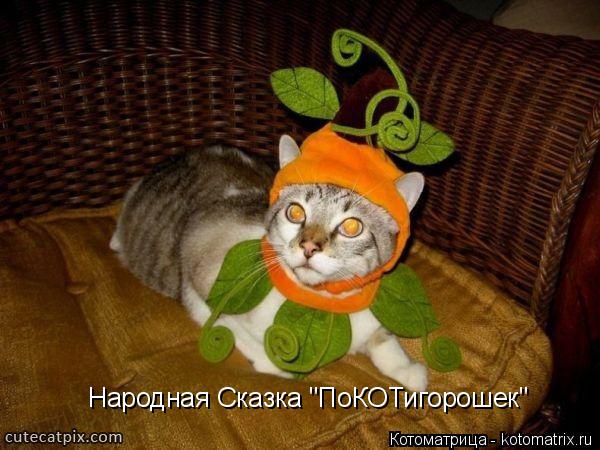 Народная Сказка "ПоКОТигорошек"... Котоматрица: Народная Сказка "ПоКОТигорошек"