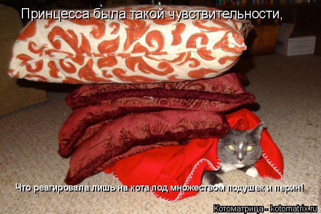 Принцесса была такой чувствительности, Что реагировала лишь на кота под множеством подушек и перин!... Котоматрица: Принцесса была такой чувствительности, Что реагировала лишь на кота под множеством подушек и перин!