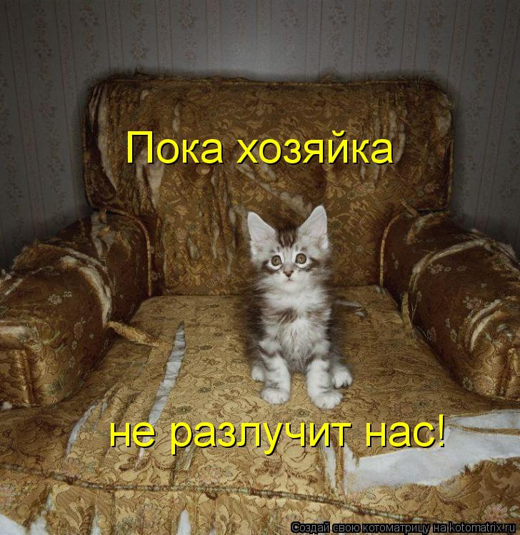 Котоматрица: Пока хозяйка не разлучит нас!
