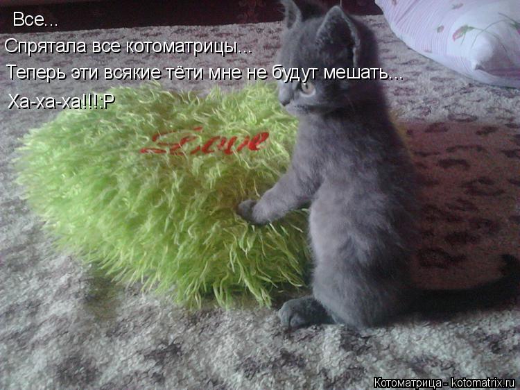 Котоматрица: Все... Ха-ха-ха!!!:Р Теперь эти всякие тёти мне не будут мешать... Спрятала все котоматрицы...