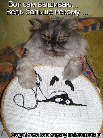 Вот сам вышиваю... Ведь больше некому ...... Котоматрица: Вот сам вышиваю... Ведь больше некому ...