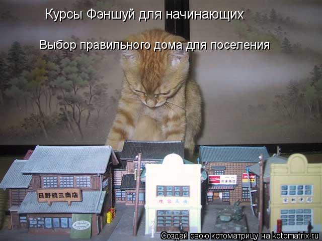 Котоматрица: Курсы Фэншуй для начинающих Выбор правильного дома для поселения
