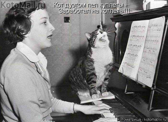 Кот дуэтом пел куплеты - Заработал на котлеты!!!... Котоматрица: Кот дуэтом пел куплеты - Заработал на котлеты!!!