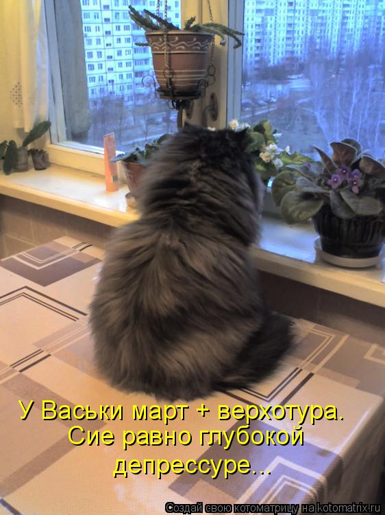 У Васьки март + верхотура. Сие равно глубокой депрессуре...... Котоматрица: У Васьки март + верхотура. Сие равно глубокой депрессуре...